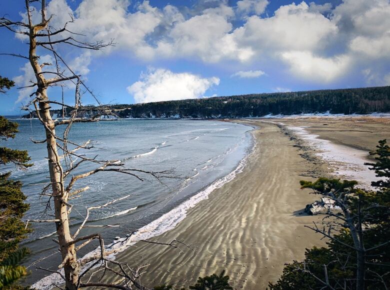 February fun continues! So much to see in our audience photo gallery