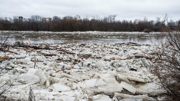 Increased risk of ice jam along Grand River, flooding could happen 'without warning': Conservation authority