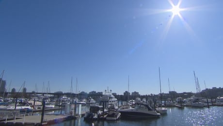 Warm weather is in the forecast for Metro Vancouver for the rest of the week. Warm weather