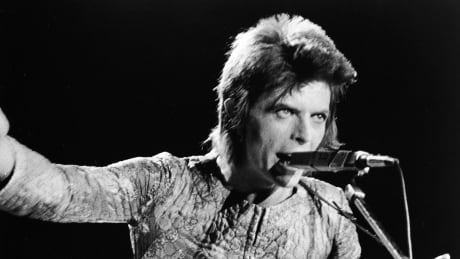 A new David Bowie box set is set to be released on Oct. 21. David Bowie