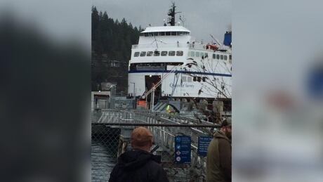 The Queen of Surrey ran into a dock at the Langdale terminal on Tuesday morning. bc ferries