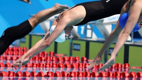 The International Swimming League is scheduled to start in October. swim trials