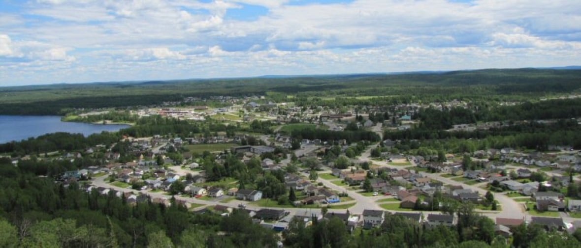 Manitouwadge looking at shrimp farming as a possible industry CBC News
