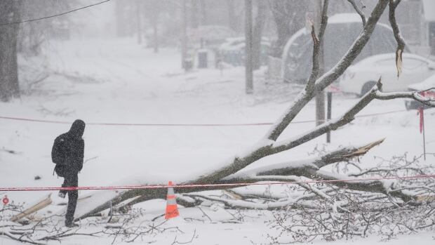 Hydro Quebec Confident It Can Restore Power Today To Thousands Affected By Storm News Summed Up