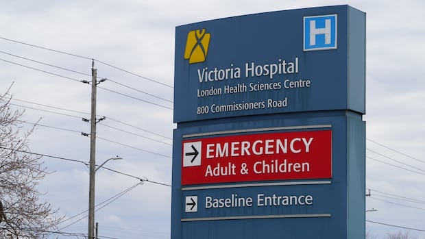 'Everybody missed the boat' on alleged fraud scheme but can London hospital recoup costs?