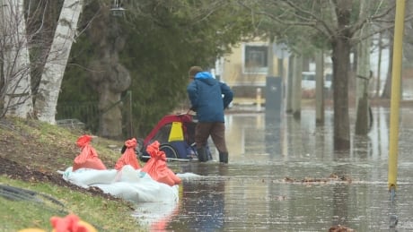A man pushes a baby carriage through the water up Winslow Street in Fredericton. flooding