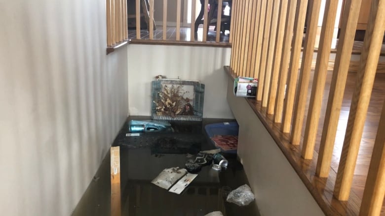 'Total devastation': 82-year-old recounts visit to submerged home in Sainte-Marthe-sur-le-Lac