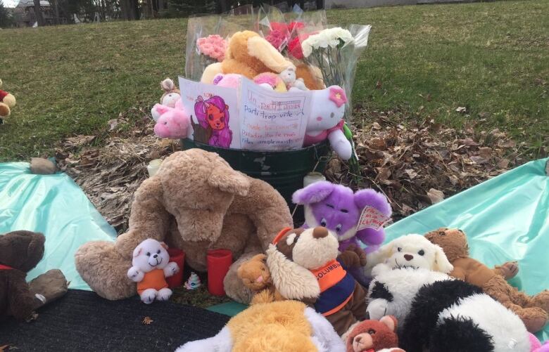 Police identify the 7-year-old girl who died after getting hit outside of  an elementary