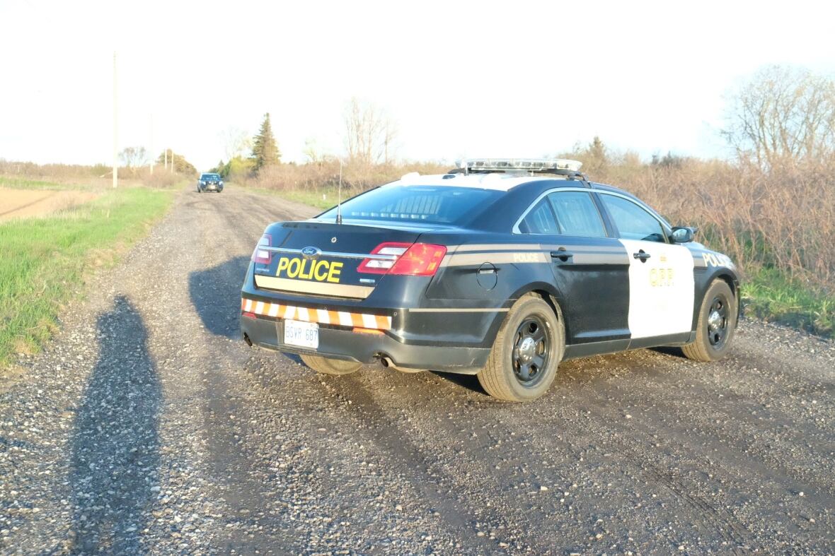 'It's unsettling' Human remains found near Port Burwell CBC News