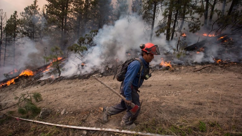 We Have To Learn To Live With Fire How Wildfires Are Changing Canadian Summers Cbc Radio