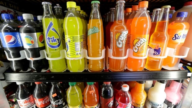 rows of sodas