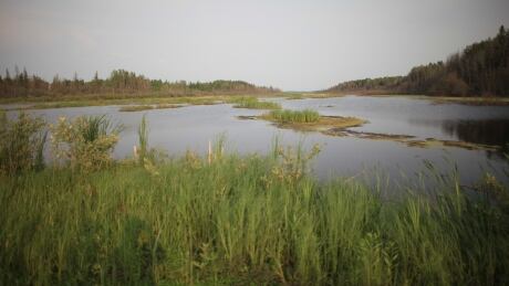 Beaver Lake Cree member Crystal Lameman says bodies of water have become polluted and water levels have drastically receded as a result of industry activity. Beaver Lake Cree Nation