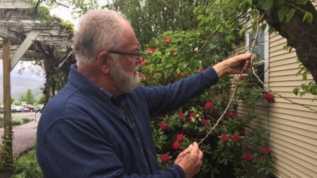 Thompson Rivers University horticulture instructor Ernest Phillips says damage to apricot trees in Kamloops over the winter means the trees will bear no fruit this summer. Apricot trees