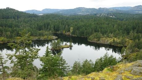 Thetis Lake Regional Park, located about 12 kilometres outside Victoria, B.C., has a network of trails offering lakeshore views. RCMP say a woman was injured at the park after someone pushed her from a cliff on Sunday afternoon. thetis lake park