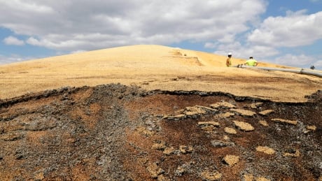 Workers stand atop a mountain of flood-damaged corn seed at the Bartlett grain elevator in Iowa in May. (AP Photo/Nati Harnik) Congress Disaster Aid