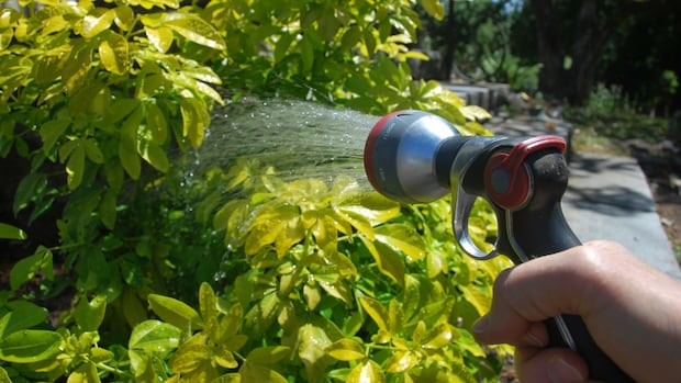 Mandatory water restriction order issued for some West Hants residents