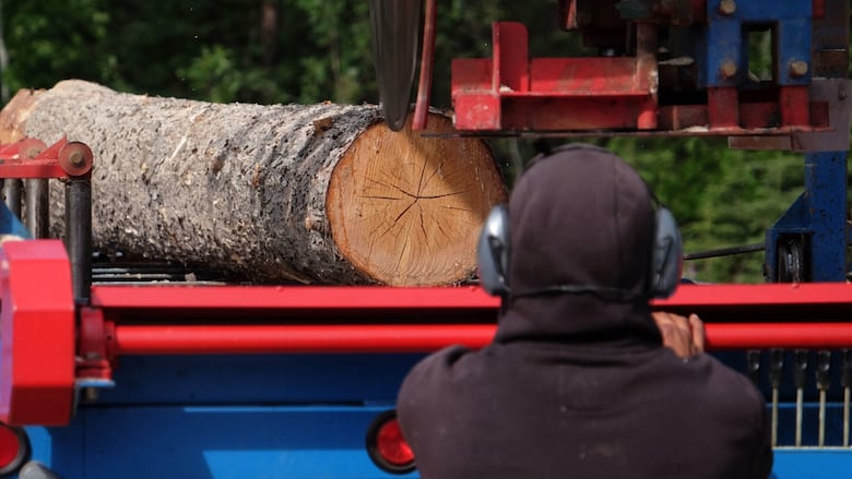 A forestry worker examines a cut log on the back of a red flatdeck truck.