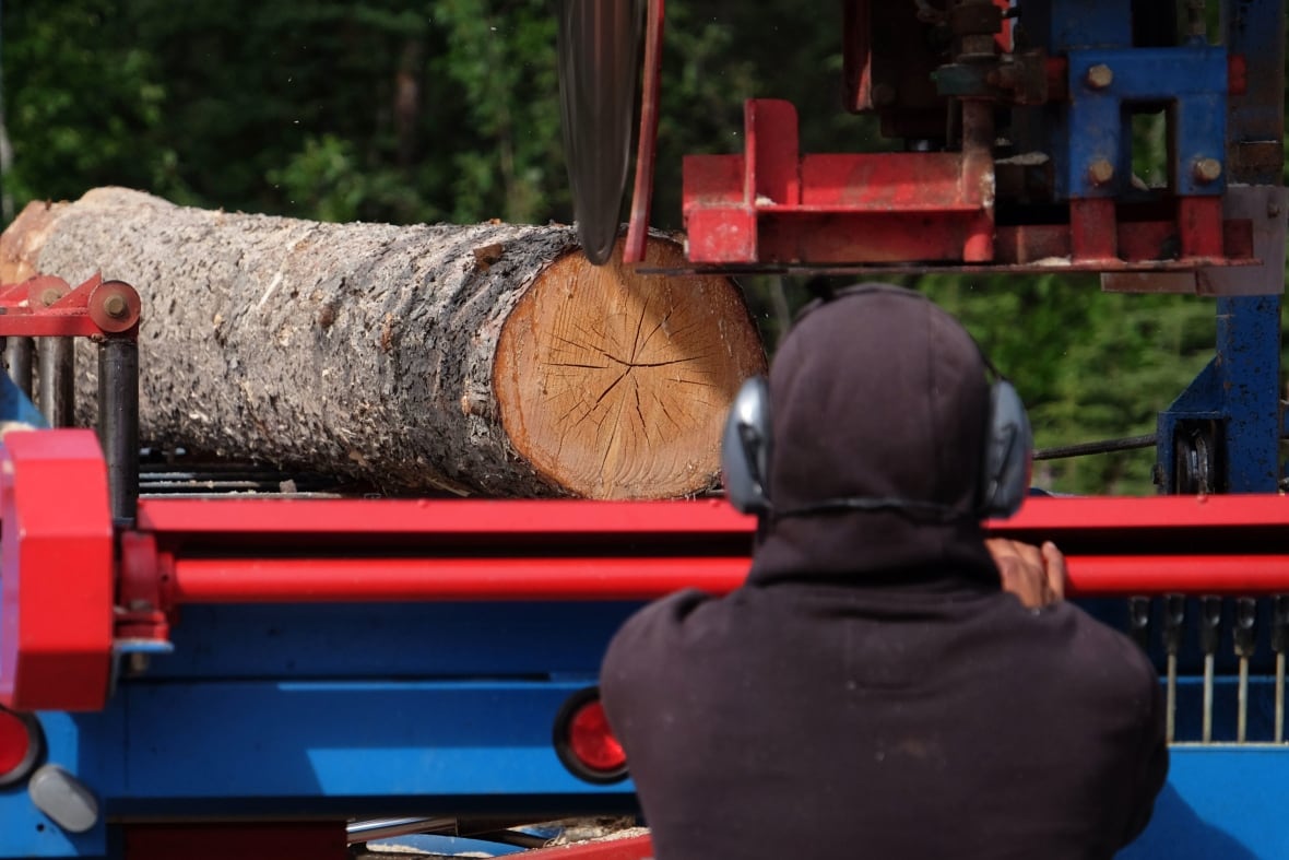 Cautious optimism in B.C. after PM publicizes $1.2B in softwood lumber assist 6 A forestry worker examines a cut log on the back of a red flatdeck truck.