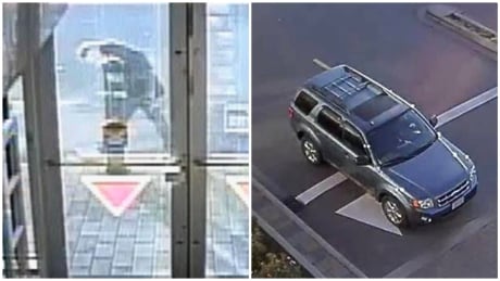 Victoria police are hoping members of the public can help identify a person of interest in a case where a kitten was found alive, inside a shaving kit in a garbage container in early June. kitten found