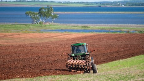 PEI spring planting potato farming 2019