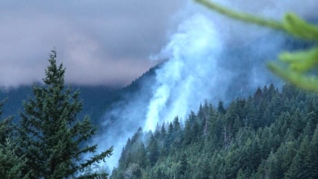 The fire above the Sea to Sky Highway was still burning early on June 24, 2019. The fire is about three hectares in size. lions bay sea to sky fire