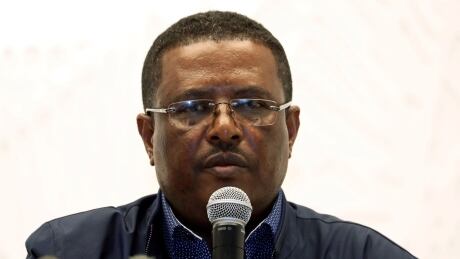 Nigusu Tilahun, press secretary at the office of the Ethiopian Prime Minister, said from Addis Ababa that the suspected mastermind of a plot against the government was killed in Amhara.
ETHIOPIA-SECURITY/