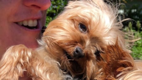 Poppie is a five-year-old Yorkshire terrier. Poppie