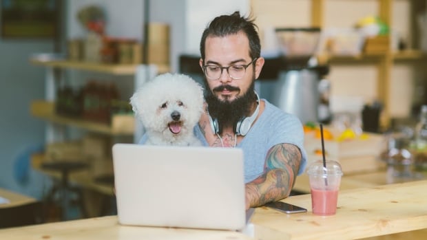 7 of the best places to visit online when you need dog training advice | CBC Life
