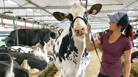 Mylène Bégin, Instagram farmer