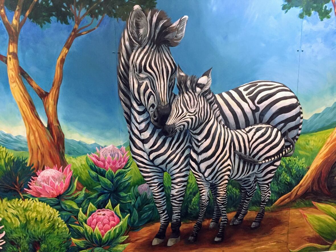 Edmonton's Zebra Centre sees big jump in child abuse cases CBC News