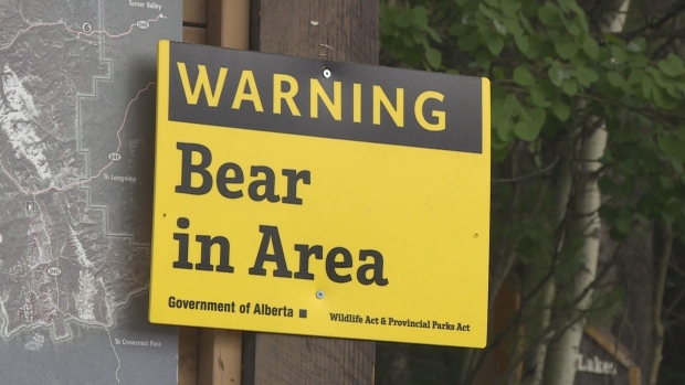 Hiker in hospital after bear attack in Crowsnest Pass; A sign in Banff National Park warns of a bear in the area in this file photo\. WildSmart says there have been multiple bear sightings close to residential areas along the Bow Valley recently\.