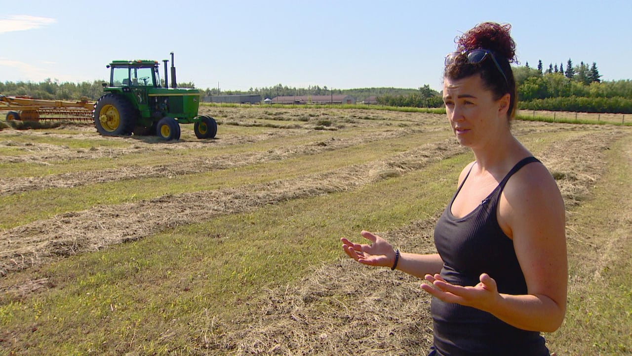 Farm Equipment For Sale In Alberta >> Making Hay While The Sun Doesn T Shine Alberta Weather Farm Equipment For Sale In Alberta >> Making Hay While The Sun Doesn T Shine Alberta Weather