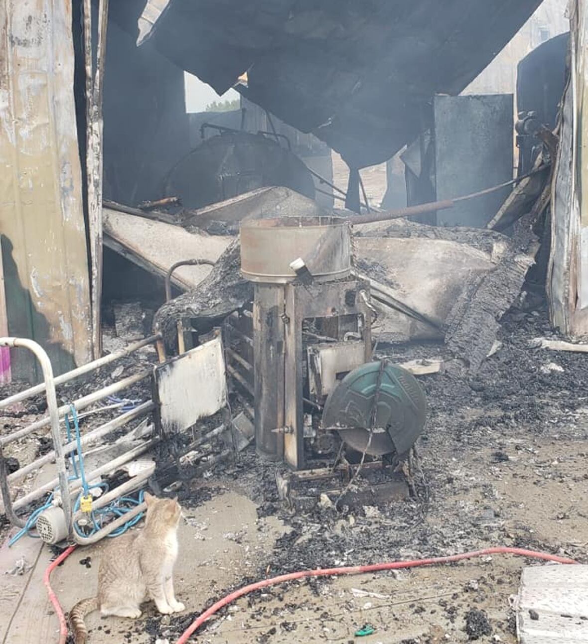 Fire destroys milking barn at Sask. dairy farm 9 months after opening