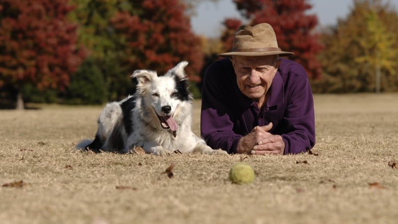 Man who spent £12,000 becoming a human Collie now wants to find a Lassie to  love - World News - Mirror Online