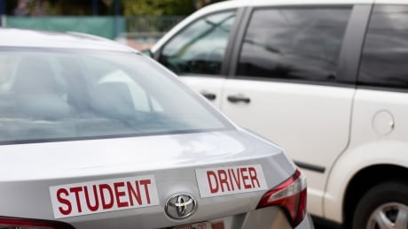 New Brunswickers looking to obtain their driver's license can now complete some of the testing online. Student Driver
