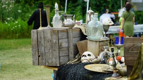 Guelph Pirate festival