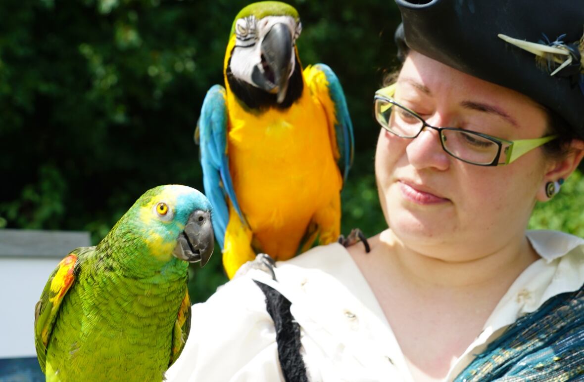 A woman dressed as a pirate with two colourful parrots on her shoulder