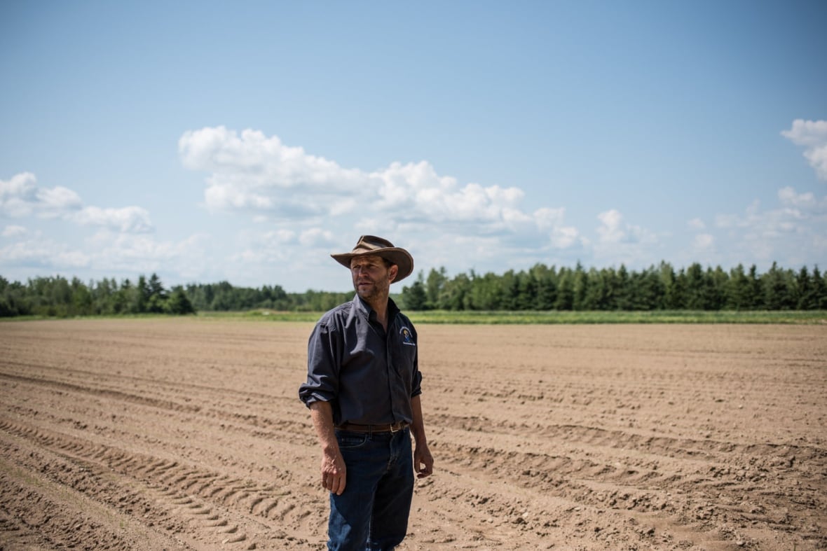 A man standing in a field