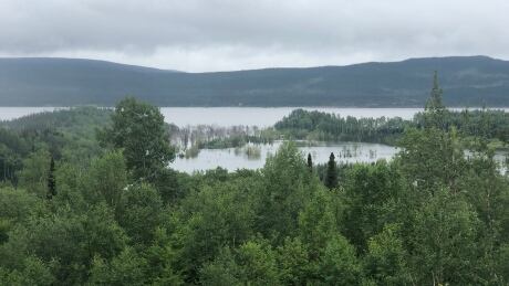 Water at the Lower Churchill River buries trees Tuesday as Nalcor floods the reservoir to generate electricity at Muskrat Falls. Flooding at reservoir Muskrat Falls