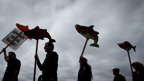 RCMP 'sitting on' watchdog report into alleged spying on anti-oil protesters