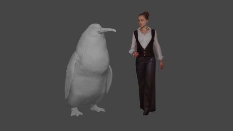 Fossils of giant, human-sized penguin found by amateur fossil hunter
