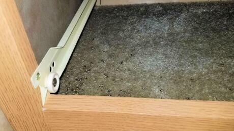 Robert and Carol Kohl found these mouse droppings when they removed a drawer from a side table in the RV's bedroom. Mouse droppings