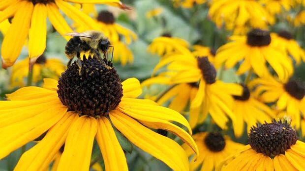 Kate's 5 fun things to do in and around Waterloo region: March 7 to 9