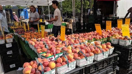 Last week's gloom and doom has not seized Canadian economy yet: Don Pittis