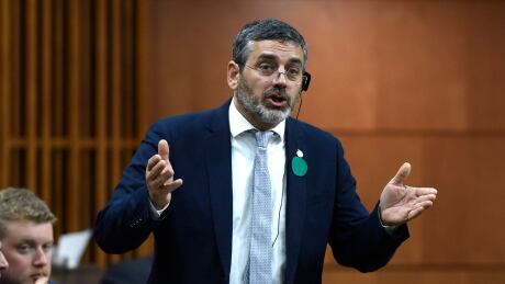 May confirms ex-New Democrat Pierre Nantel is running as a Green candidate