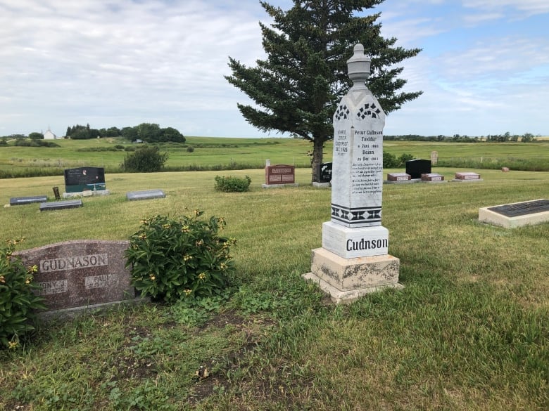Group spearheads restoration of dozens of headstones at 137yearold Manitoba cemetery CBC News