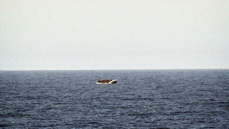 A rubber boat with migrants is seen from the MV Aquarius, a search and rescue ship run in partnership with the humanitarian organisations SOS Mediterranee and Medecins Sans Frontieres (MSF - Doctors Without Borders), some 24 nautical miles off Libya coast, in the Mediterranean Sea on May 6, 2018. - The Libyan coast guard intercepted the boat taking the migrants onboard, denying the help of the NGO's. 955283074