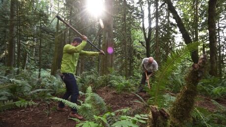 Sam Waddington (left) and Graham Houlker work on a section of trail in Chilliwack. Trail building