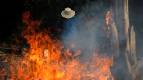A man works in a burning tract of Amazon jungle as it is being cleared by loggers and farmers in Iranduba, Amazonas state, Brazil August 20, 2019. REUTERS/Bruno Kelly - RC1AF7C54AA0 BRAZIL-ENVIRONMENT/WILDFIRES