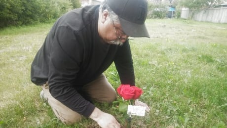 Luke Sainnawap, father of Corrie Sainnawap, plants three roses in the area where his daughter was found dead a year ago in Thunder Bay. Luke Sainnawap
